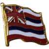 [Hawaii Flag Pin]
