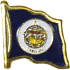 [Minnesota Flag Pin]