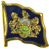 [Pennsylvania Flag Pin]