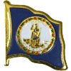 [Virginia Flag Pin]