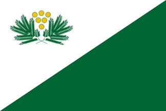 [Flag of San Isidro District]