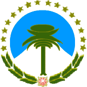 Err. flag of Neuquén
