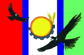[Los Cóndores municipal flag]