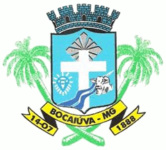 [Flag of Bocaiúva, Minas Gerais