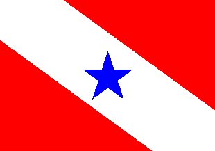 [Flag of Pará (Brazil)]