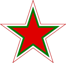 Belarus - Air Force Flag and Aircraft Marking