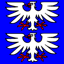[Flag of Wittnau]