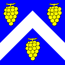 [Flag of Chigny]
