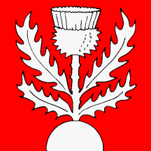 [Flag of Montaubion-Chardonney]