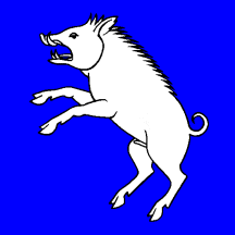 [Flag of Berg am Irchel]