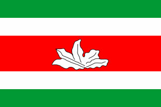 Flag of BOYACA
