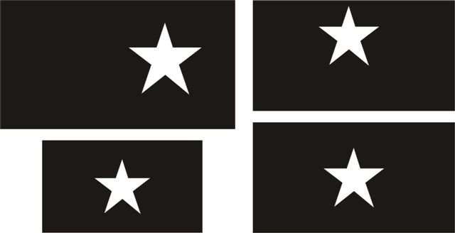 black flag with white star