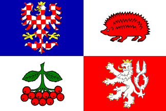 [Possible future flag of Vysocina region]