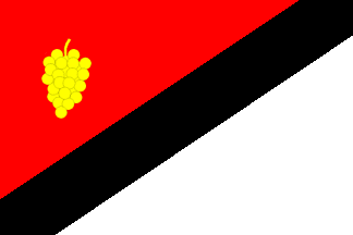 [Radějov municipality flag]