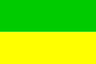 [Dasnice municipality flag]