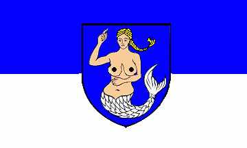[Wangerland flag]