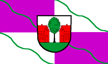 [City of Schönau flag with CoA]
