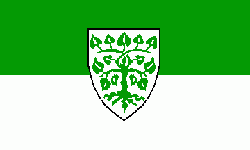 [Lindau (Bodensee) city flag w/ CoA]