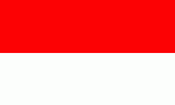 [City of Petershagen plain flag]