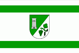 [Serrig municipal flag]