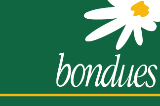 [Flag of Bondues]