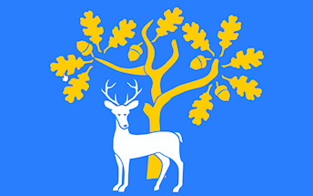 [Flag Proposal for Barkshire 2, England]
