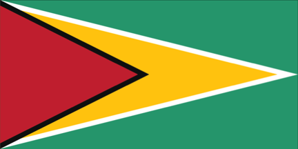 [Guyana - naval ensign]