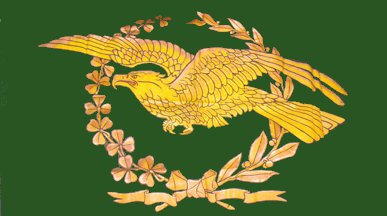 Unidentified Irish eagle flag