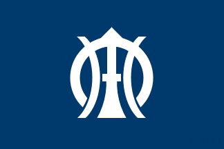 [flag of Sakae]