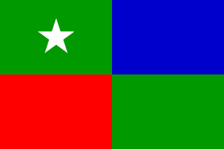 Maldives Prime Minister's flag