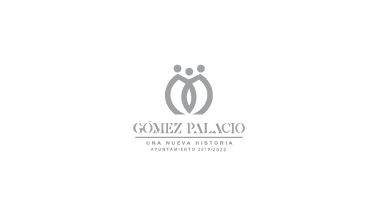 2019 - 2022 Gomez Palacio Government flag