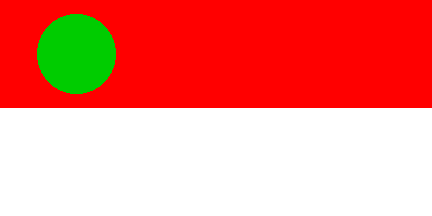[Pan Malaysian Islamic Party (Malaysia) possible flag]