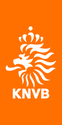 KNVB Pin Royal Dutch Football Association Very Small Rare Orange & Silver  Colors