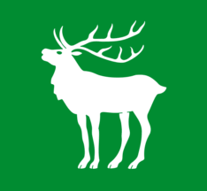 [Flag of Hjartdal]