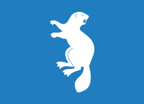 [Flag of Åmli]
