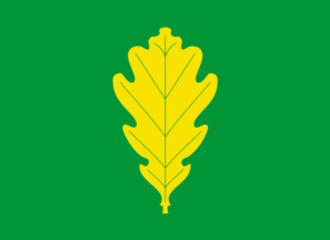 [Flag of Eigersund]