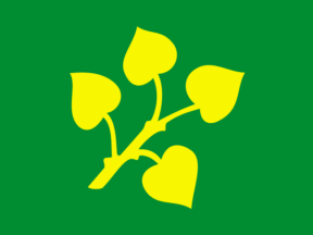 [Flag of Stryn]