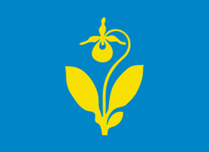 [Flag of Snåsa]