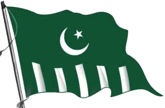 Milli Muslim League, Pakistan