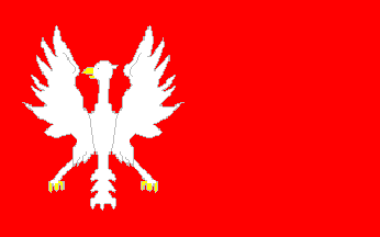 [proposal for Polish merchant ensign (1919)]