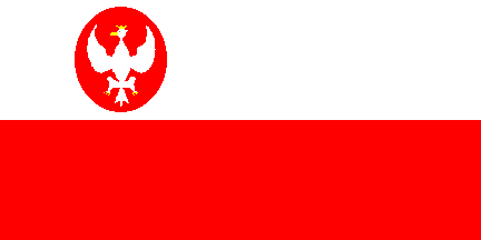 [Proposal for State Ensign 1919]