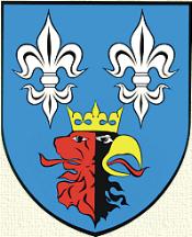 [Belchatów county Coat of Arms]