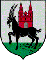 [Wieruszów Coat of Arms]