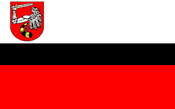 [Biala Podlaska commune official flag]