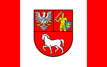 [Łosice county flag]