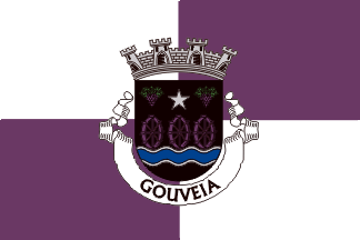 Gouveia plain flag