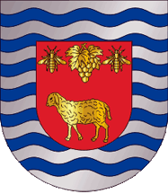 Mação municipal arms