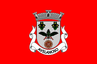 [Avelanoso commune (until 2013)]