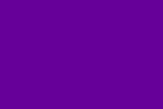 [Purple rainbow flag]