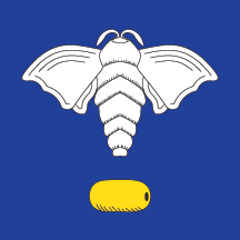 [Flag of Svilajnac]